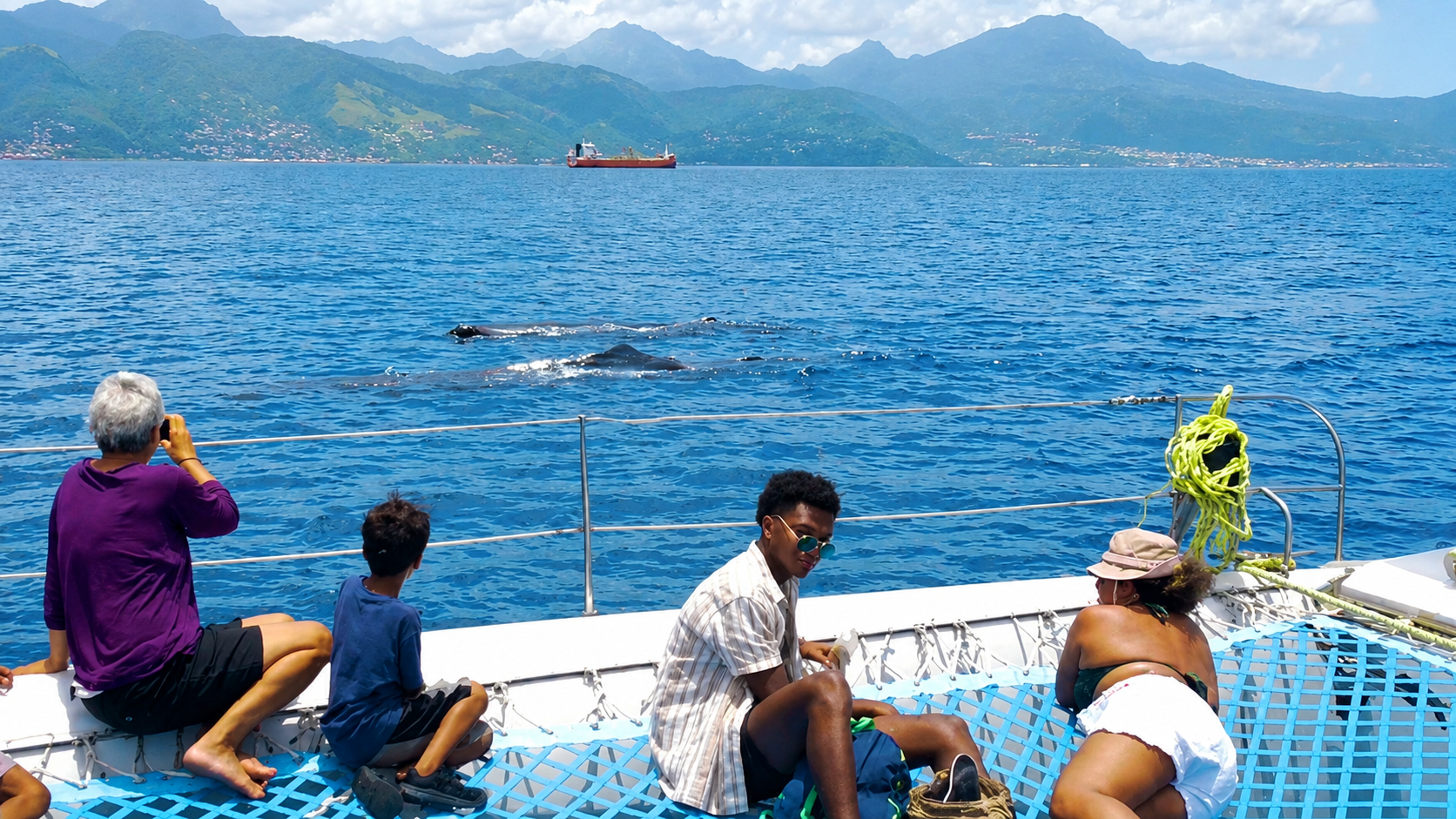Pelago catamaran tour with whales offshore