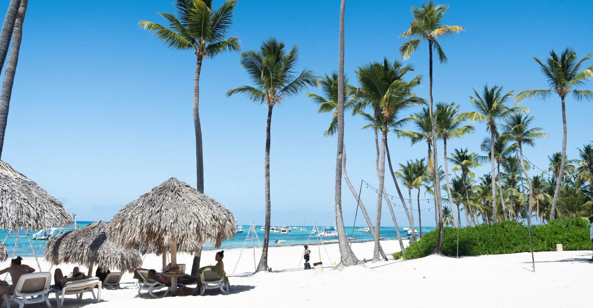 Caribbean beach with palms and thatched umbrellas